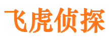 磐安市私家侦探